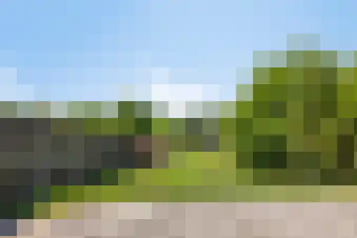 Helsedijk 77 Willemstad thumbnail 6