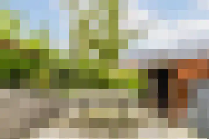 Helsingborg 1 Schiedam thumbnail 14