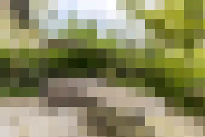 Helsingborg 1 Schiedam thumbnail 15