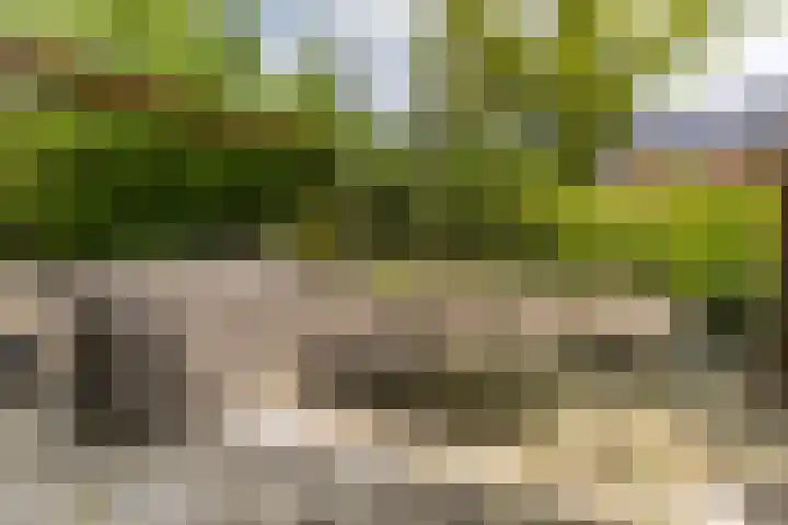 Helsingborg 1 Schiedam thumbnail 17