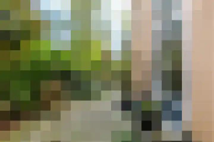 Helsingborg 1 Schiedam thumbnail 21