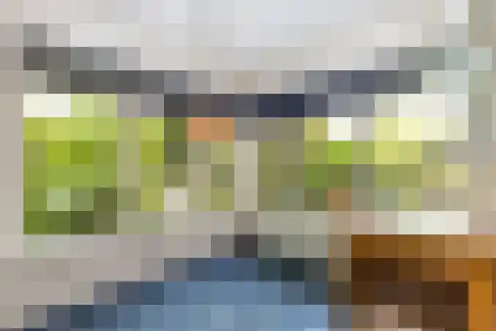 Helsingborg 1 Schiedam thumbnail 25