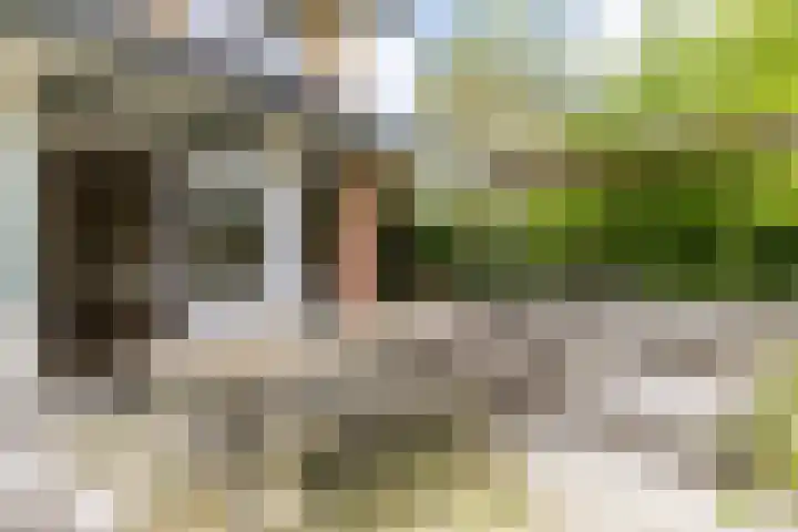Helsingborg 1 Schiedam thumbnail 4