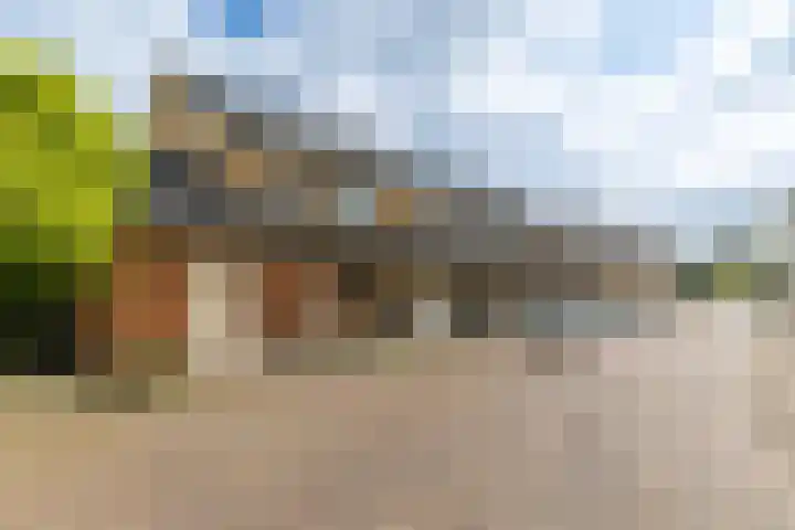 Helsingborg 1 Schiedam thumbnail 40