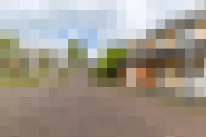 Helsingborg 1 Schiedam thumbnail 42