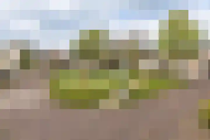 Helsingborg 1 Schiedam thumbnail 43