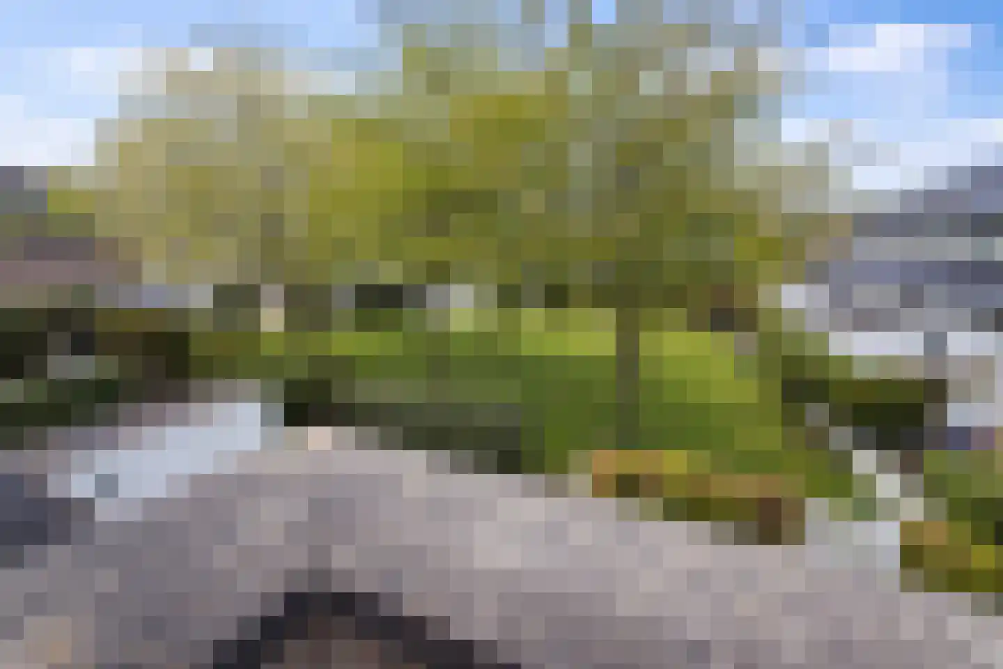 Helsingborg 14 Schiedam thumbnail 21