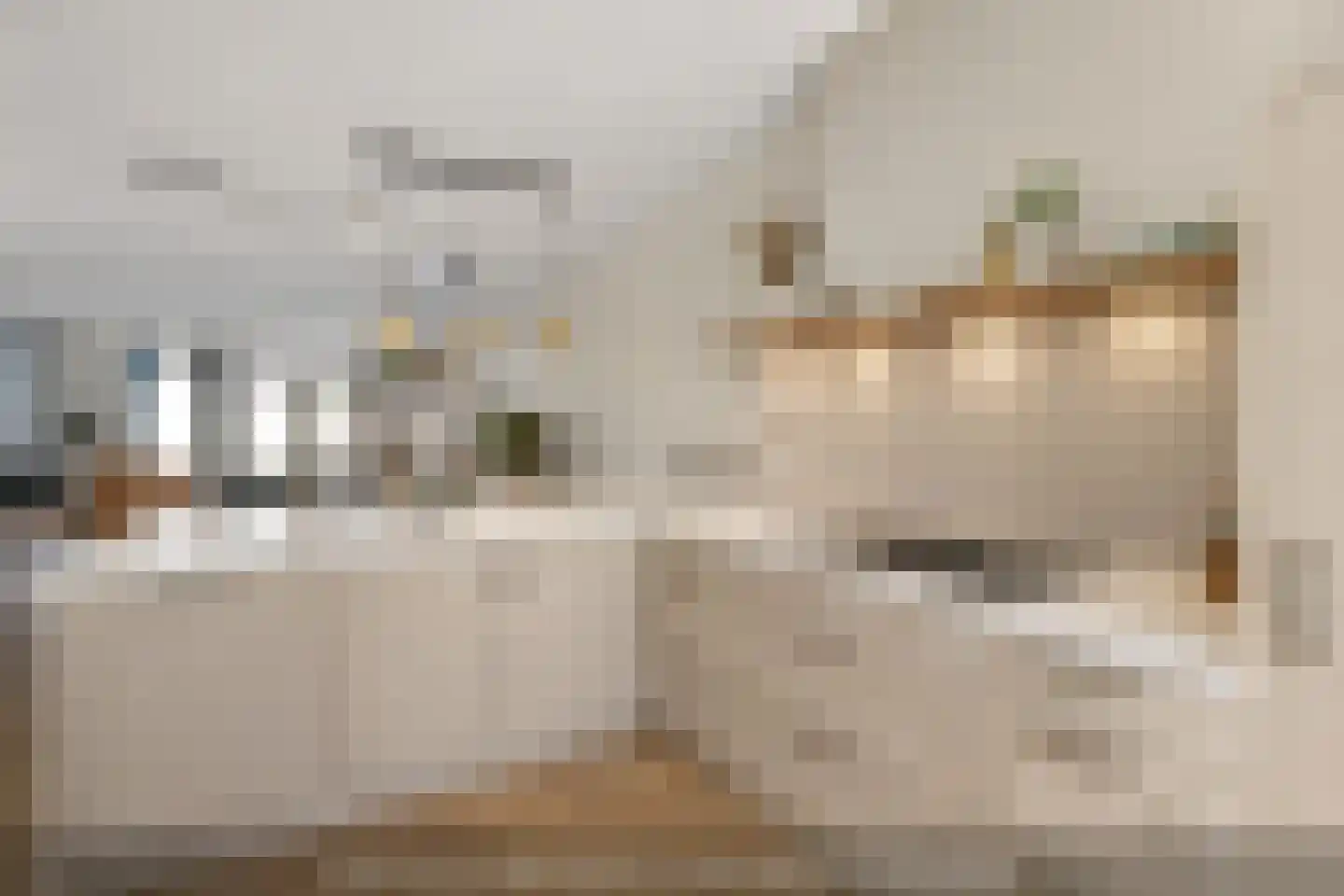 Helsingborg 14 Schiedam thumbnail 4