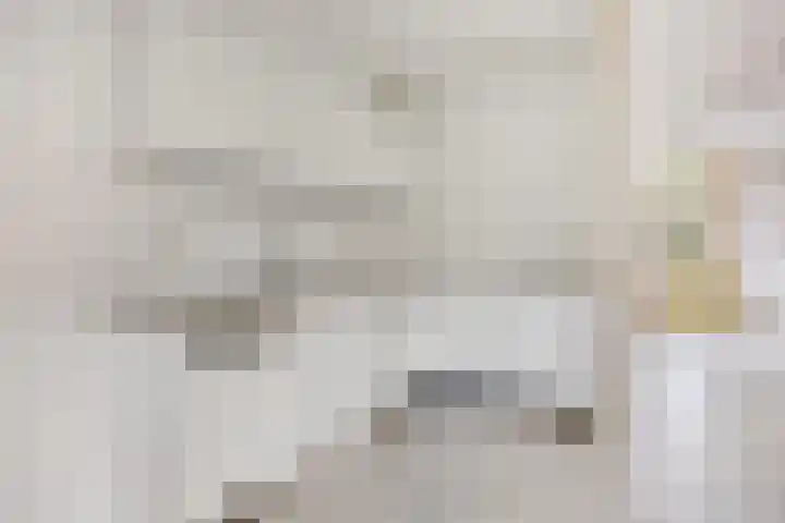 Helsingborgerf 34 Rotterdam thumbnail 10