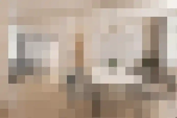 Helsingborgerf 34 Rotterdam foto 2