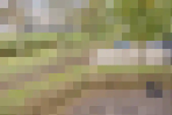 Helsingborgerf 34 Rotterdam thumbnail 34