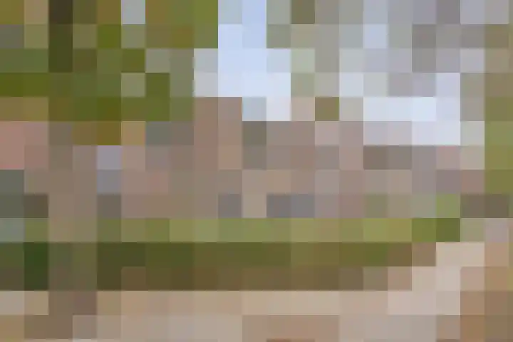 Helsingborgerf 34 Rotterdam thumbnail 6