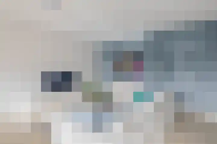 Helsingborgerf 4 Rotterdam thumbnail 13