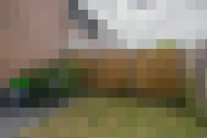 Helsingborgerf 4 Rotterdam thumbnail 24