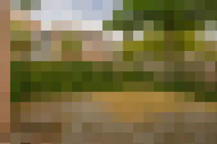 Helsingborgerf 4 Rotterdam thumbnail 28