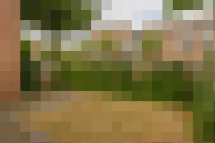 Helsingborgerf 4 Rotterdam thumbnail 29