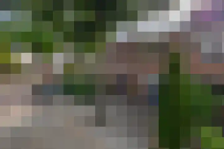 Helsingborgerf 4 Rotterdam thumbnail 7