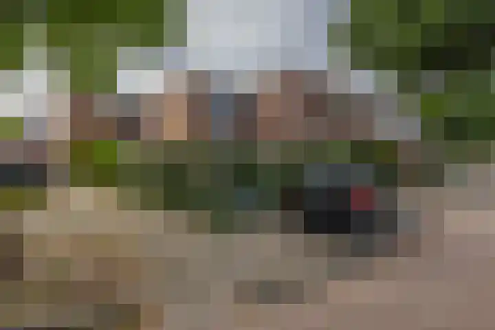 Helsingborgerf 4 Rotterdam thumbnail 8