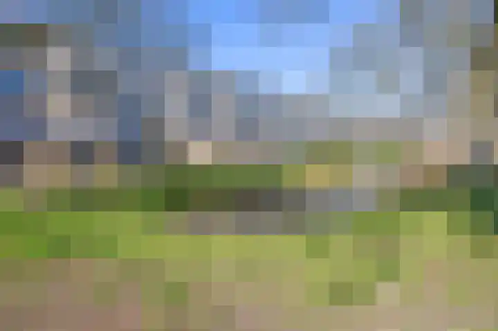 Helsingborgerf 64 Rotterdam thumbnail 5