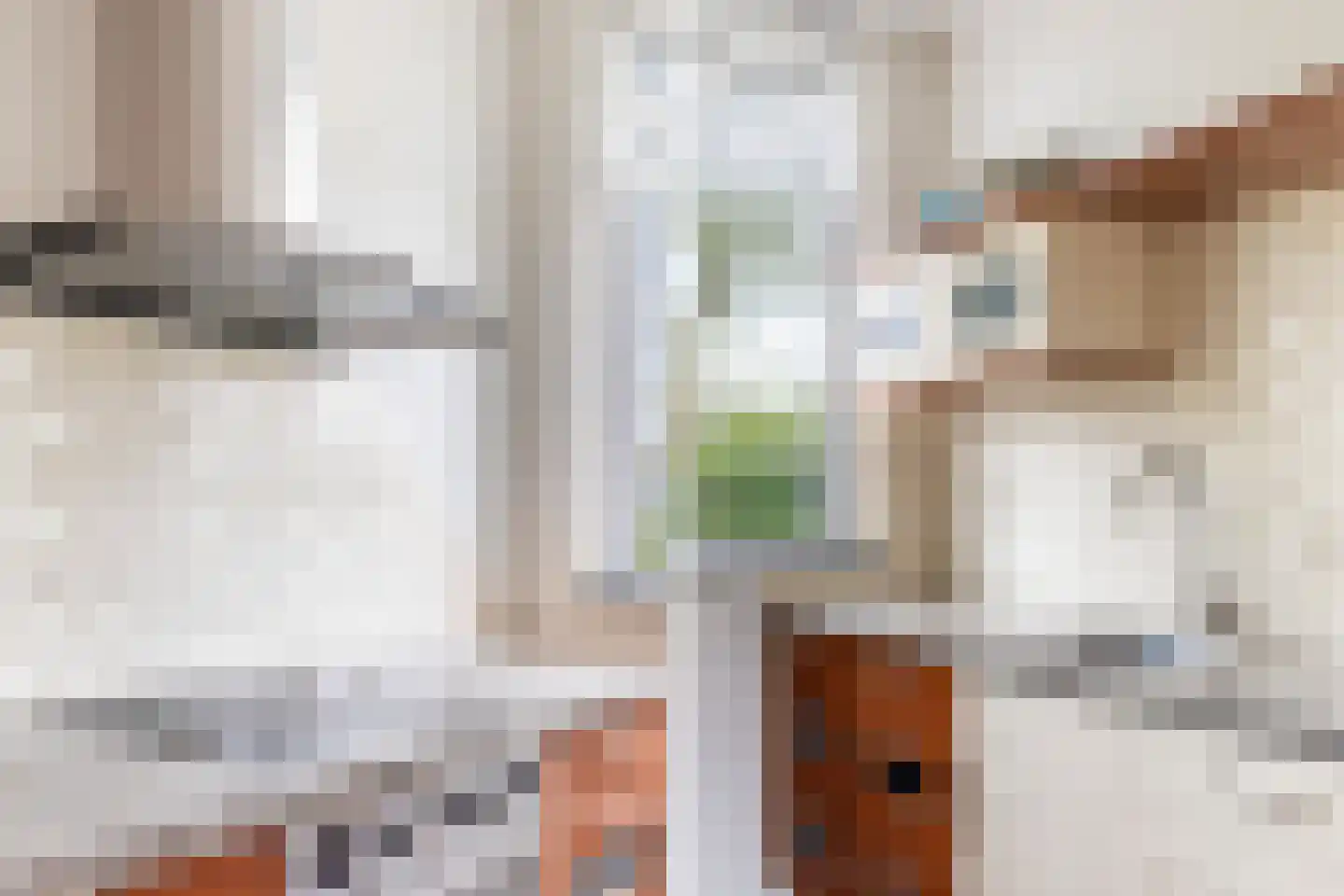 Helsinkipad 17 Rotterdam thumbnail 16