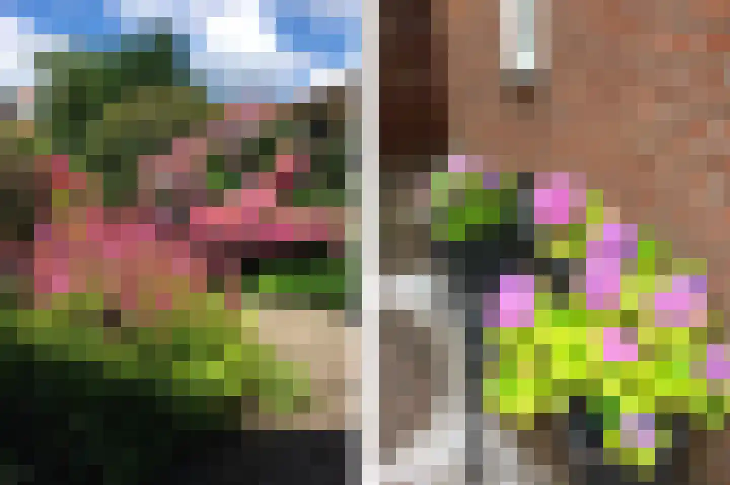 Helsinkipad 17 Rotterdam thumbnail 23