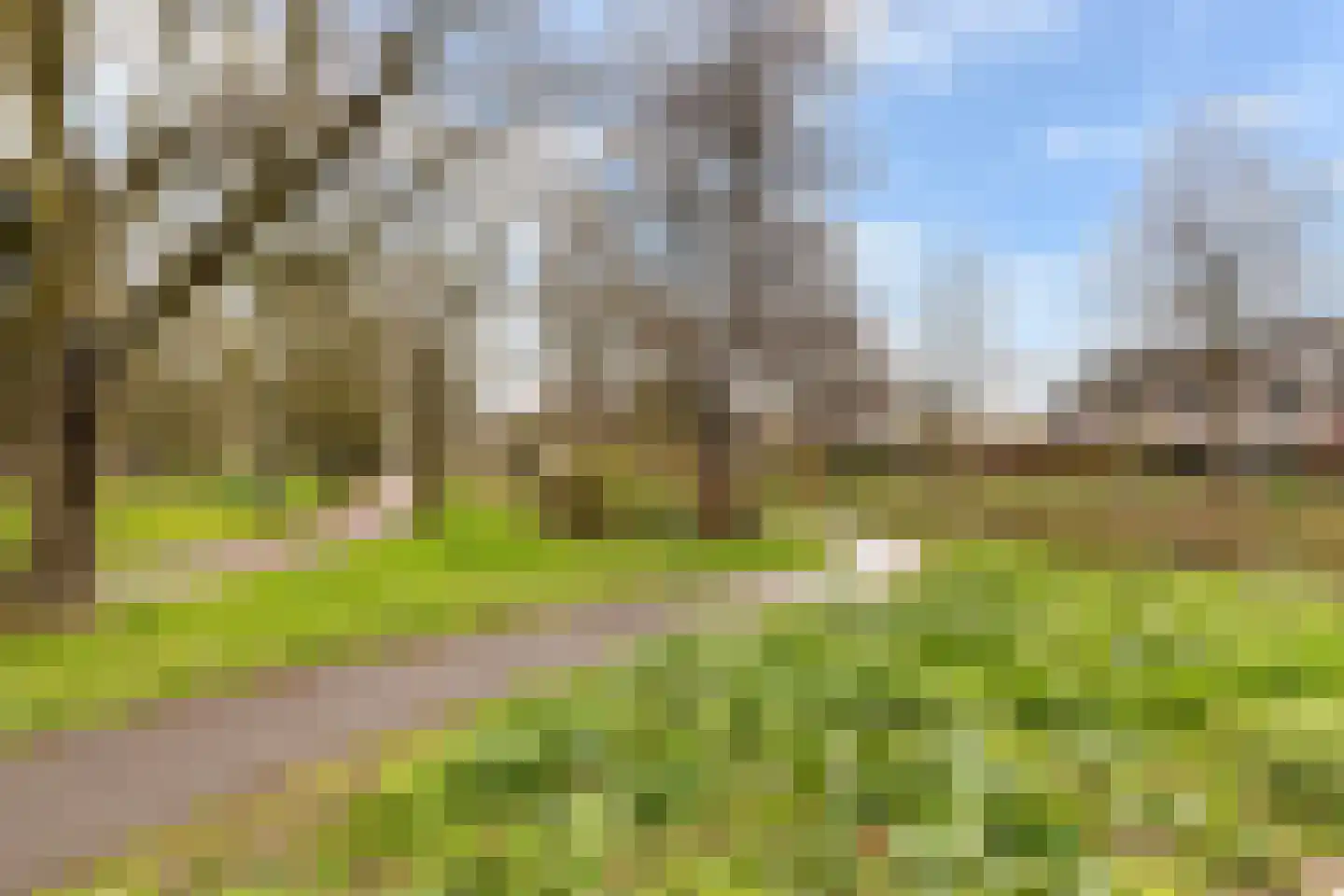 Helsinkipad 17 Rotterdam thumbnail 41