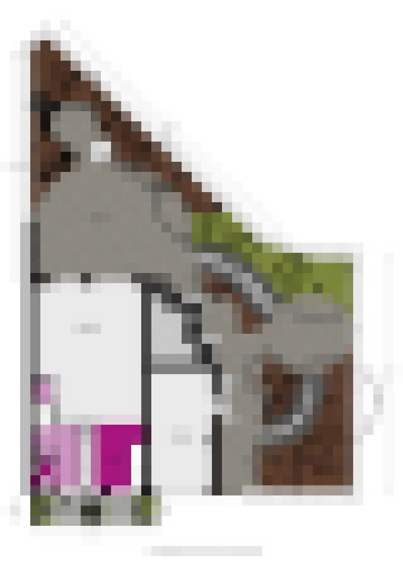 Helsinkipad 17 Rotterdam thumbnail 42