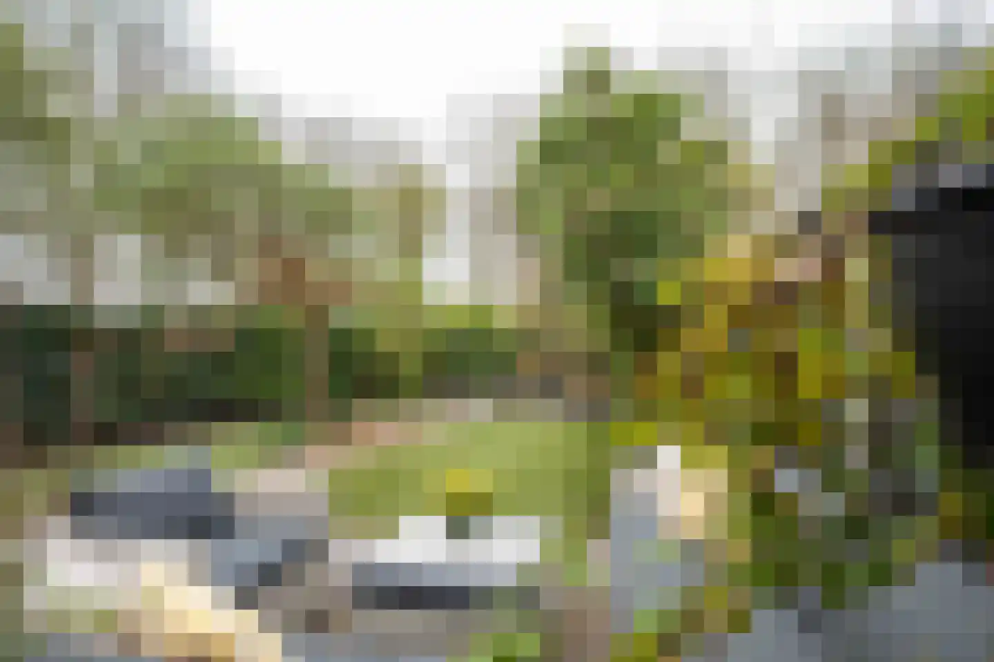 Helsinkipad 53 Rotterdam thumbnail 34