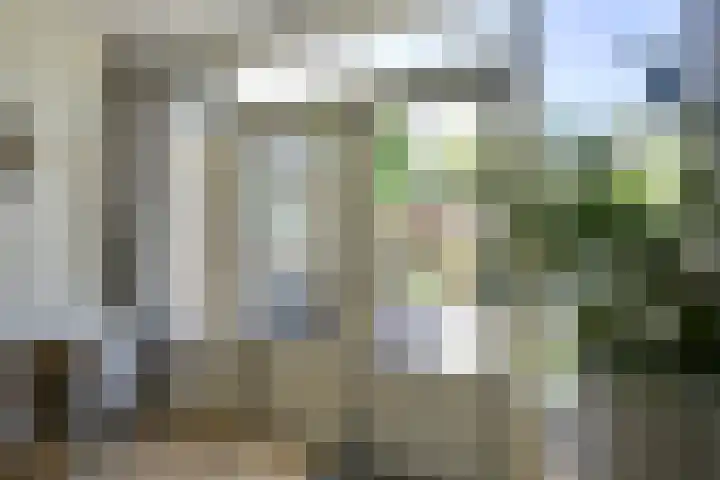 Helsloitstraat 14 Vianen thumbnail 29