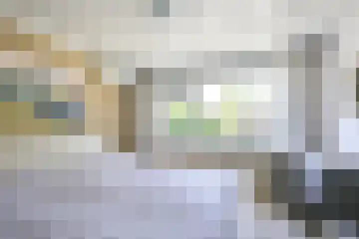 Helsloitstraat 14 Vianen thumbnail 39