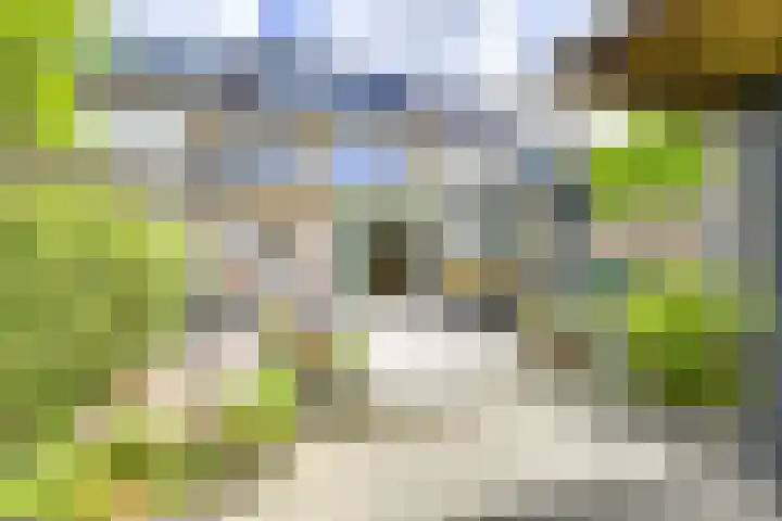 Helsloitstraat 14 Vianen thumbnail 4