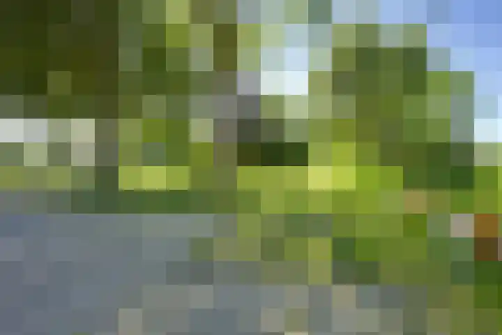 Helsloitstraat 14 Vianen thumbnail 69