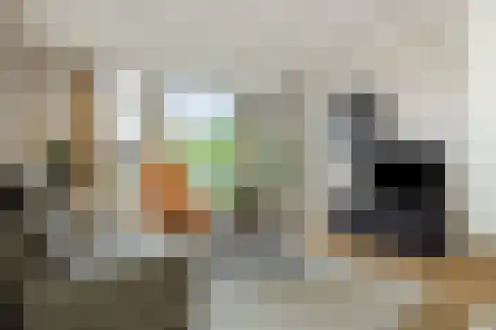 Helster 8 Berlicum thumbnail 13