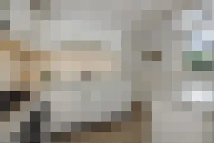 Helster 8 Berlicum thumbnail 17
