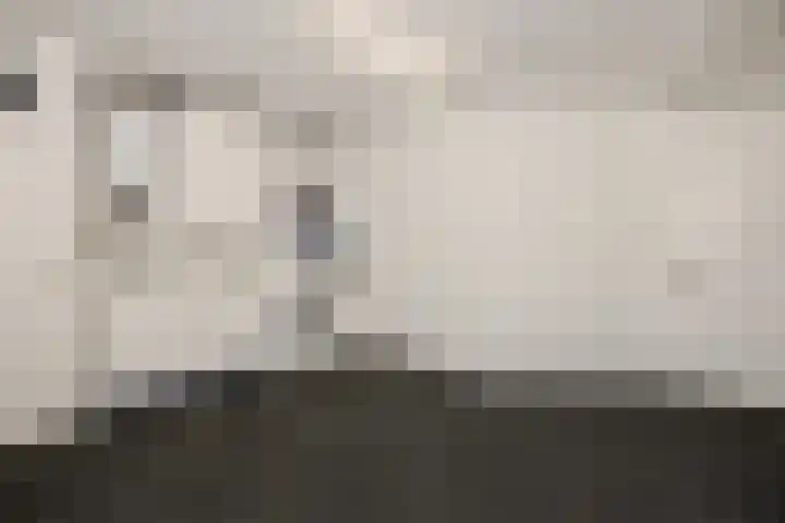 Helster 8 Berlicum thumbnail 20