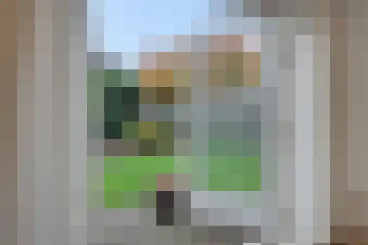 Helster 8 Berlicum thumbnail 27