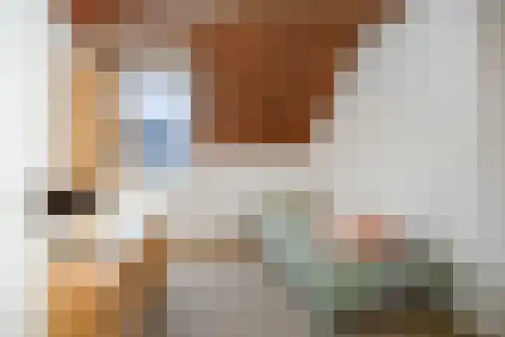 Helster 8 Berlicum thumbnail 31