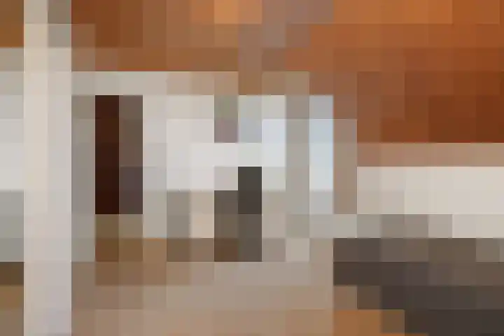 Helster 8 Berlicum thumbnail 36
