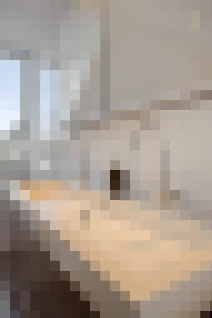 Helster 8 Berlicum thumbnail 39