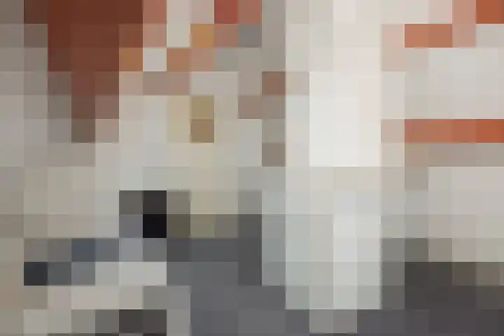 Helster 8 Berlicum thumbnail 44