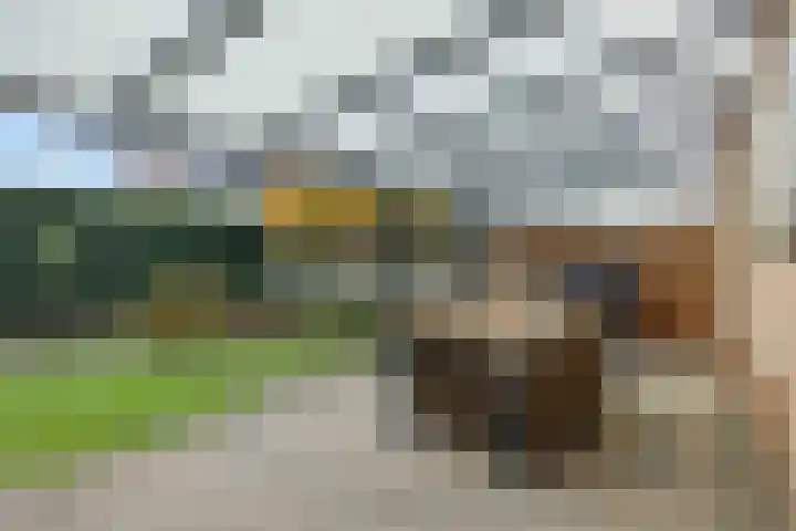 Helster 8 Berlicum thumbnail 47