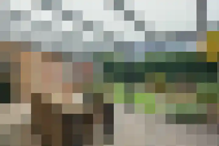 Helster 8 Berlicum thumbnail 48