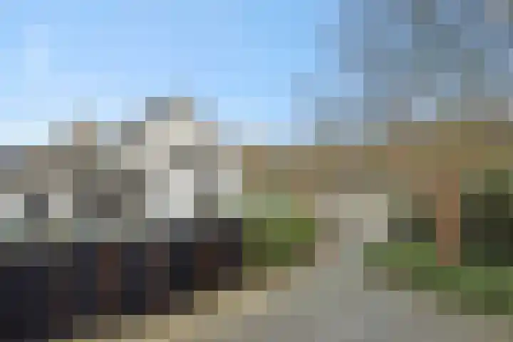 Helster 8 Berlicum thumbnail 49