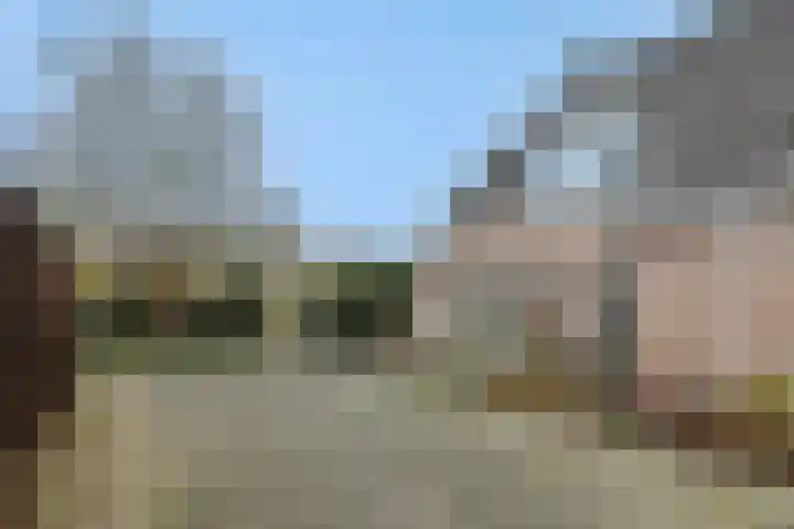 Helster 8 Berlicum thumbnail 52