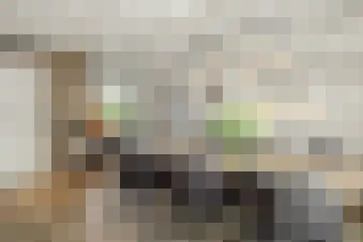 Helster 8 Berlicum thumbnail 8
