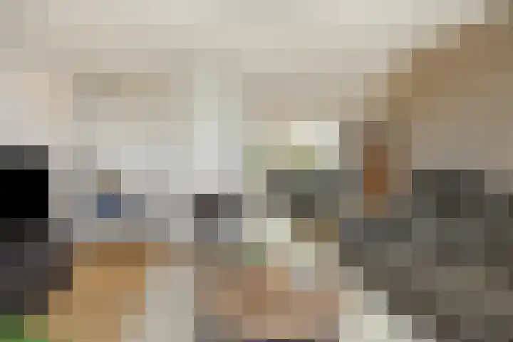 Helster 8 Berlicum thumbnail 9