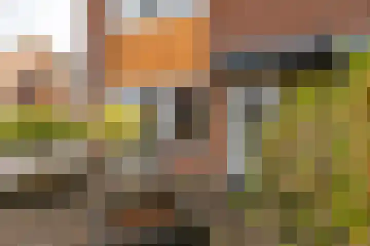 Helsterland 23 Roden thumbnail 10