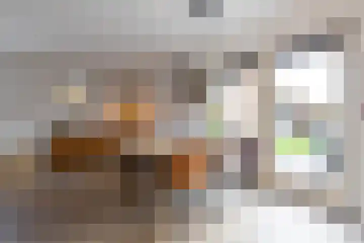 Helsterland 23 Roden thumbnail 22
