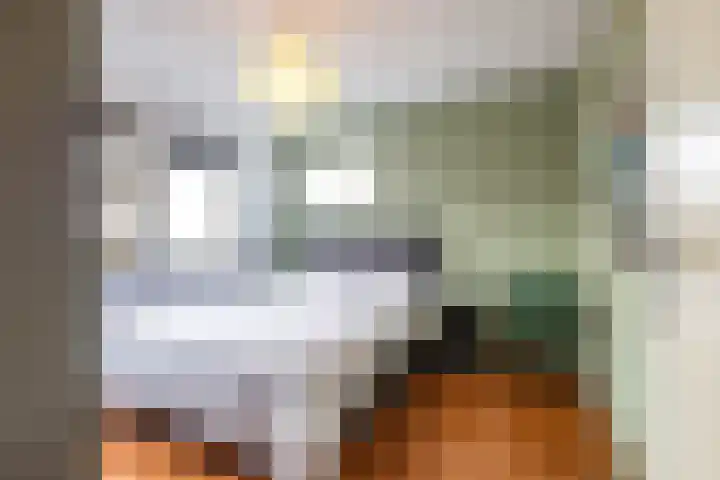 Helsterland 23 Roden thumbnail 26