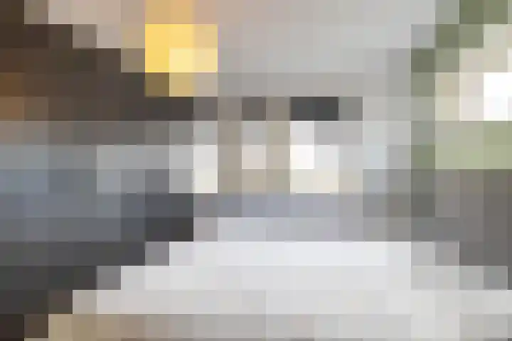 Helsterland 23 Roden thumbnail 27